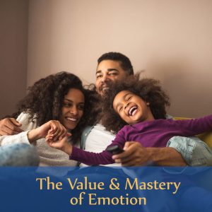 Value and Mastery of Emotion product image